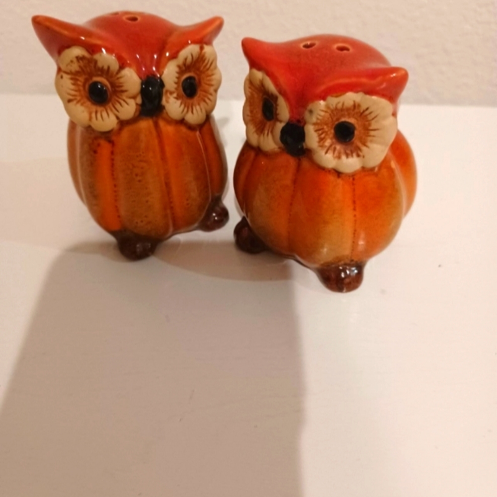 Crackerbarrel Owl Salt & Pepper Shakers - Picture 1 of 4